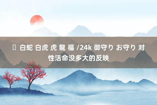 ✨白蛇 白虎 虎 龍 福 /24k 御守り お守り 对性活命没多大的反映