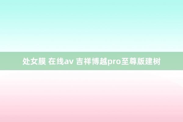 处女膜 在线av 吉祥博越pro至尊版建树