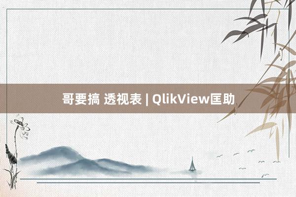 哥要搞 透视表 | QlikView匡助