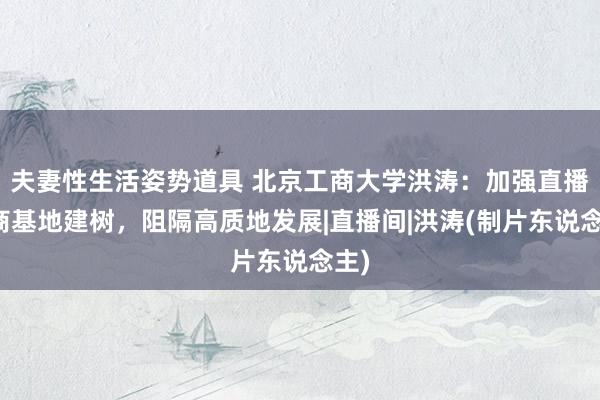 夫妻性生活姿势道具 北京工商大学洪涛：加强直播电商基地建树，阻隔高质地发展|直播间|洪涛(制片东说念主)