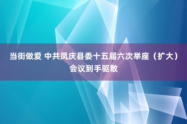 当街做爱 中共凤庆县委十五届六次举座（扩大）会议到手驱散