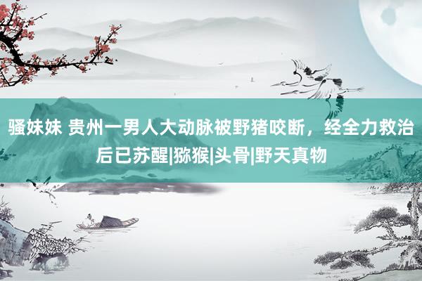 骚妹妹 贵州一男人大动脉被野猪咬断，经全力救治后已苏醒|猕猴|头骨|野天真物