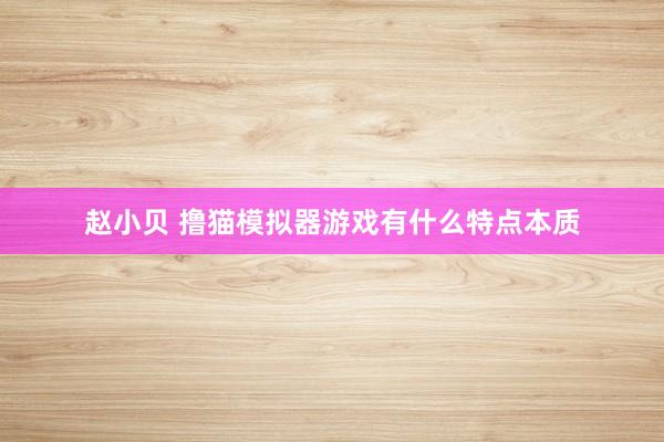 赵小贝 撸猫模拟器游戏有什么特点本质