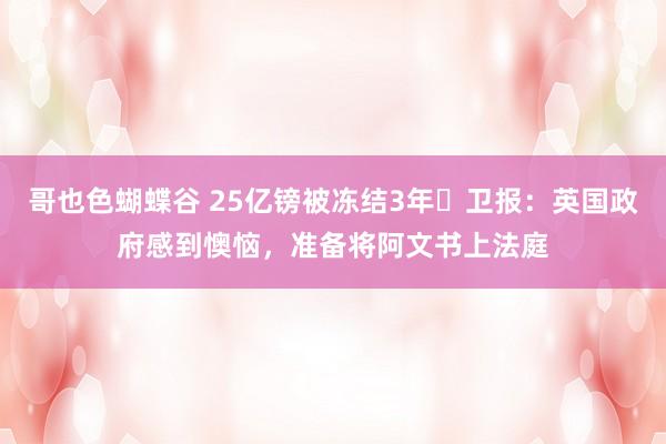 哥也色蝴蝶谷 25亿镑被冻结3年❗卫报：英国政府感到懊恼，准备将阿文书上法庭